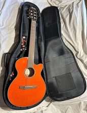 Ibanez aeg10ne tng for sale  Edinboro