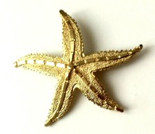 Magnifique broche etoile usato  Spedire a Italy
