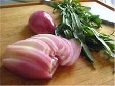 French shallot zebrune for sale  GRIMSBY