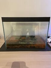 Kit acquario litri usato  Gorgonzola