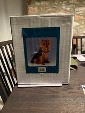 Leonardo collection dog for sale  NEWTON ABBOT