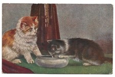 Antica cartolina animali usato  Savona