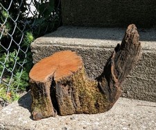 Old growth cherry for sale  Georgetown