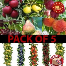 Pack orchard bundle for sale  OXFORD