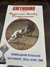 Greyhound racing greyhound for sale  PORT TALBOT