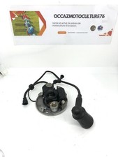 Allumage tronçonneuse stihl d'occasion  Bolbec