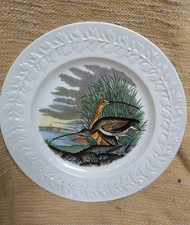 Long billed curlew. for sale Long billed curlew. for sale  LUTON