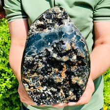 7.17lb natural ocean for sale  Burlington