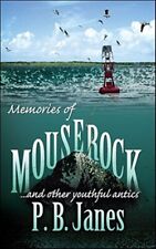 Memories mouse rock... for sale  DERBY