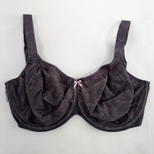 Rosa faia anita d'occasion  Expédié en Belgium