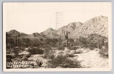 Desert scene southern for sale  Naperville