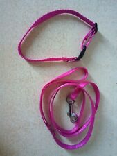 Collier laisse petit d'occasion  Besançon