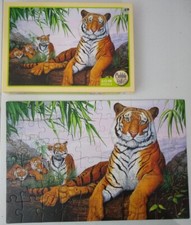Cobble hill tiger for sale  Urbana