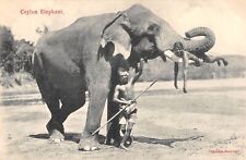 Cpa ceylon elephant d'occasion  Claira