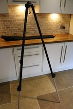 cygnet for sale cygnet for sale LEEK