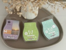 Scentsy wax bars gebraucht kaufen  Otterbach