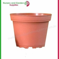 Usado, Planta 100mm Agachamento Pote T/C-Pacote De 100. Cactus, Suculentas, ervas, Jardim comprar usado  Enviando para Brazil