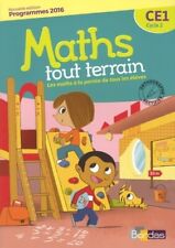 Maths terrain ce1 d'occasion  Hennebont