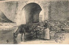 Limoges dc422 vache d'occasion  France