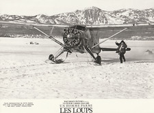 Homme loups walt d'occasion  Dijon