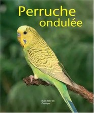 Perruche ondulée comprendre d'occasion Perruche ondulée comprendre d'occasion  France