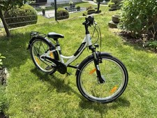 Pegasus avanti zoll gebraucht kaufen  Heilbronn