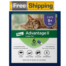 Advantage large cats for sale  Somerset