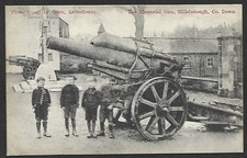Memorial guns hillsborough for sale  CRAIGAVON