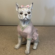 Beautiful frenchie bulldog for sale  Greenwood