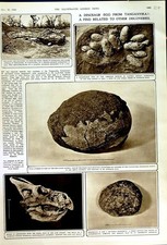 Original old vintage for sale Original old vintage for sale  UK