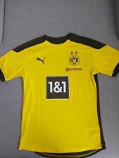 Puma bvb borussia gebraucht kaufen  Auerbach/Vogtl.