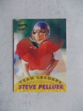 Steve pelluer frankfurt gebraucht kaufen  Kefenrod