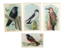 Bicarbonato de sódio Arm & Hammer - Cartas de pássaros - lote de 4 - Cintilação, Kingbird, Bunting comprar usado  Enviando para Brazil