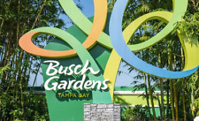 Busch gardens tickets for sale  Miami