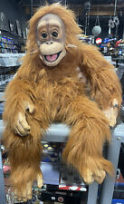 Axtell expressions orangutan for sale  Santa Maria