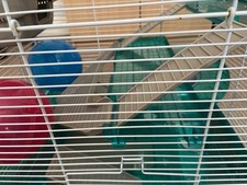 Hamster home for sale  STOCKPORT