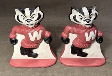 Vintage university wisconsin for sale  Minneapolis