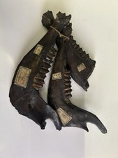 Fossilised lower jaw for sale  BROMLEY