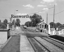 Orig negative signal for sale  NORWICH