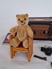 Miniature teddy bear for sale  BRISTOL