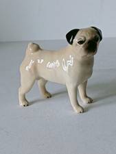 pug dog for sale pug dog for sale RETFORD