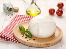Mozzarella latte bufala usato  Casoria