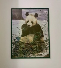 Puzzle panda incorniciato usato  Spinetoli
