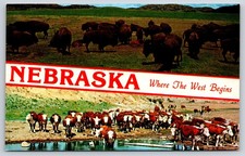 Banner greetings nebraska for sale  USA