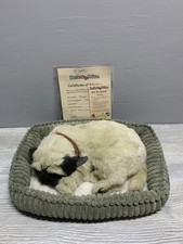 Perfect petzzz pug for sale  Richfield