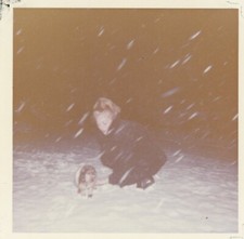 Snow falling young for sale  San Diego