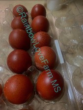 French black copper for sale  Jackson
