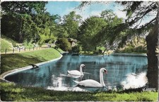 Cambrai jardin public d'occasion  Pontailler-sur-Saône