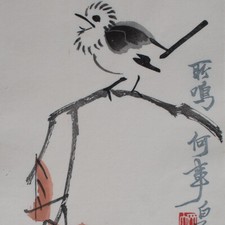 Baishi vogel tierdarstellung gebraucht kaufen  Berlin