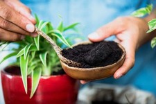 1kg used coffee for sale  PORTSMOUTH
